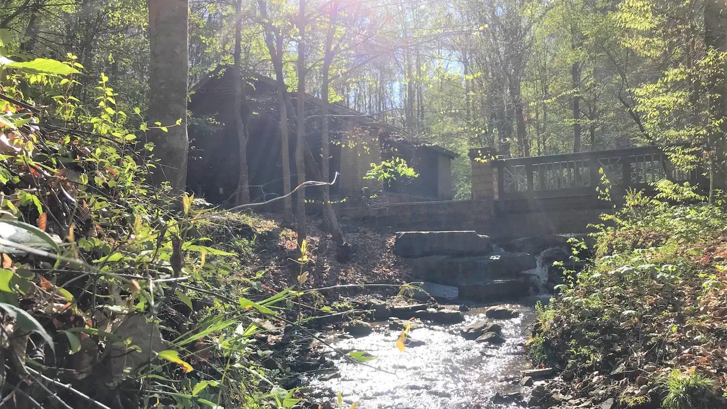 Burchfield Branch Park