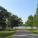 Drive towards the boat ramp in Heyburn Park.