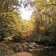 Laurel Fork at Dennis Cove Campground