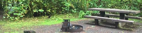 A campsite at Mora campground. A picnic table and fire ring sit in the site, which is bordered by thick, green vegetation.