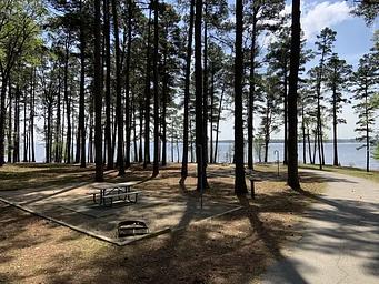 Alley Creek Camp