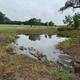 Small pond and surrounding grassy area on the property — useful scenic view of on-site grounds and natural features (matches gallery context on property website).