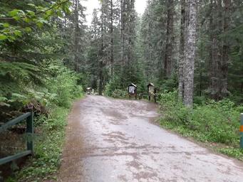 Honeysuckle Campground