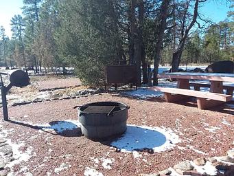 Rock Crossing Campground Site 29: shows site with a table, fire pit, standing grill, and waste canister