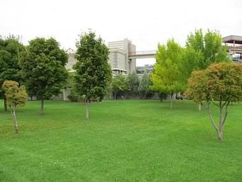 SPILLWAY PARK - CHINOOK SHELTER (OR)