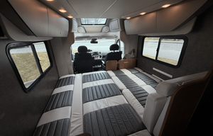 Humpback Whale - 2014 Winnebago Trend