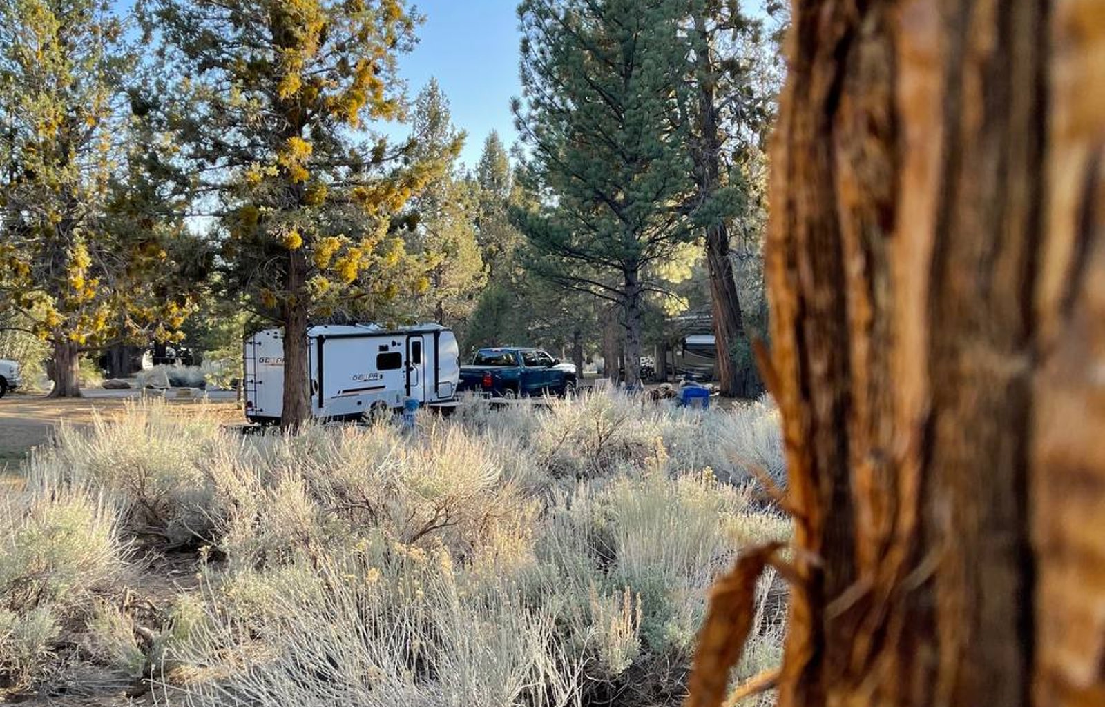 NEW 2022 Forest River RV Rockwood GEO Pro 20BHS