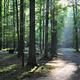 ELKMONT CAMPGROUND