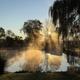 Another scenic shot of the pond with morning mist and trees — complementary scenic view that highlights the property's natural setting (appears on the homepage).