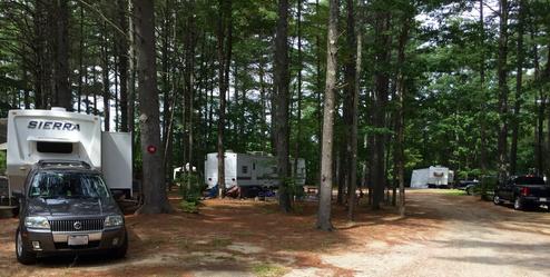 Wide view of multiple RVs and pull-through sites among tall trees — represents typical RV/campsite layout and tree cover on the property.