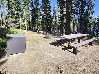 UPPER BILLY CREEK Campsite