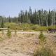 BOTTLE CREEK GROUP PICNIC SITE 4