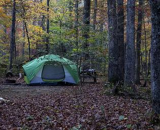 A green tent nestled under an autumn forest