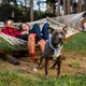 Glamping in Mendocino, California - pet friendly with a dog by his owners in a hammock