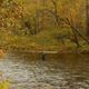 Scenic river photo with a person fly-fishing in shallow water and wooded banks — shows on-site river/riverfront scenery relevant to the resort (site gallery image).