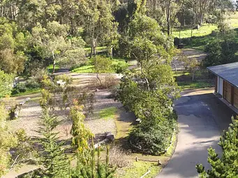 Trees and paved walkways at Rob Hill Campground