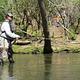 Fishing in Abrams Creek