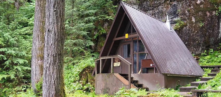 W06, Loop: AREA MOUNT FLEMER CABIN