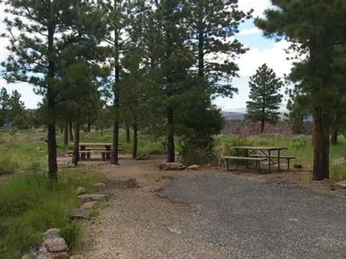 Red Canyon (Ashley National Forest)