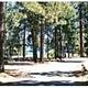 CHRISTIE CAMPGROUND