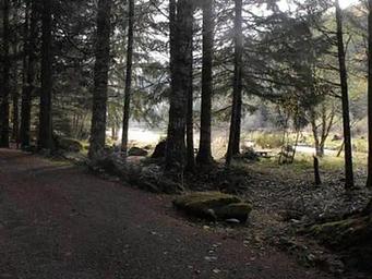 SUNNYSIDE CAMPGROUND