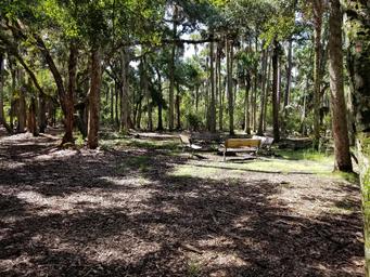 Campground image 2