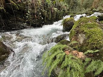 Pearch Creek Campground
