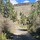 Campground loop road