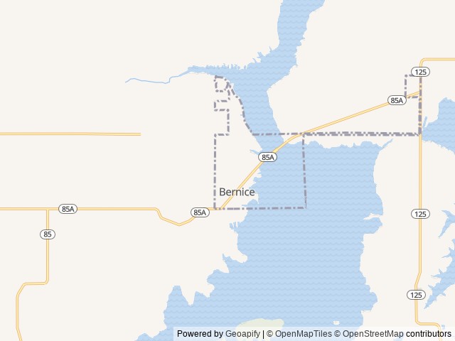 Map of Chamberlain Shores location at Bernice, OK, United States