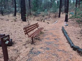 Lion's accessible paved interpretive trail bench and directional sign post leading to wooden bridge with rustic railing.