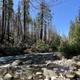 BREITENBUSH CAMPGROUND