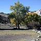 Group site at Split Mountain Campground.
