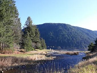 Campground image 2
