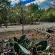 Briar Oaks RV Park