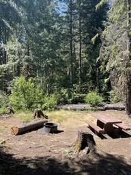 Breitenbush Campground