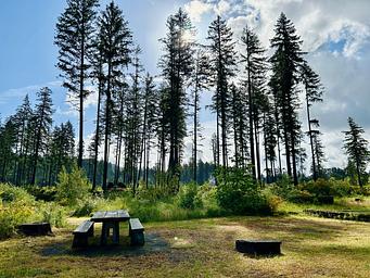 North Santiam campsites 