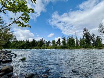 Santiam River steelhead fishing spot