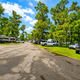 Wide shot of an RV row with hookups and mature trees — good representation of the campground’s RV sites and road layout (image from the site homepage).