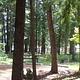 EDGEWATER CAMPGROUND