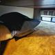Sequoia: Family Camper with bunk bed - Sleeps 6!