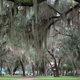 Campspot slideshow image 5