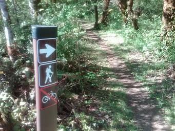 Trail access