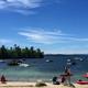 all kinds of watercraft on the bay
