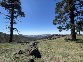 scenic overlook  mountains between two pine trees