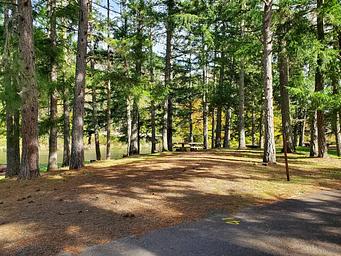 Schwarz Park