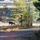 Campground image 1