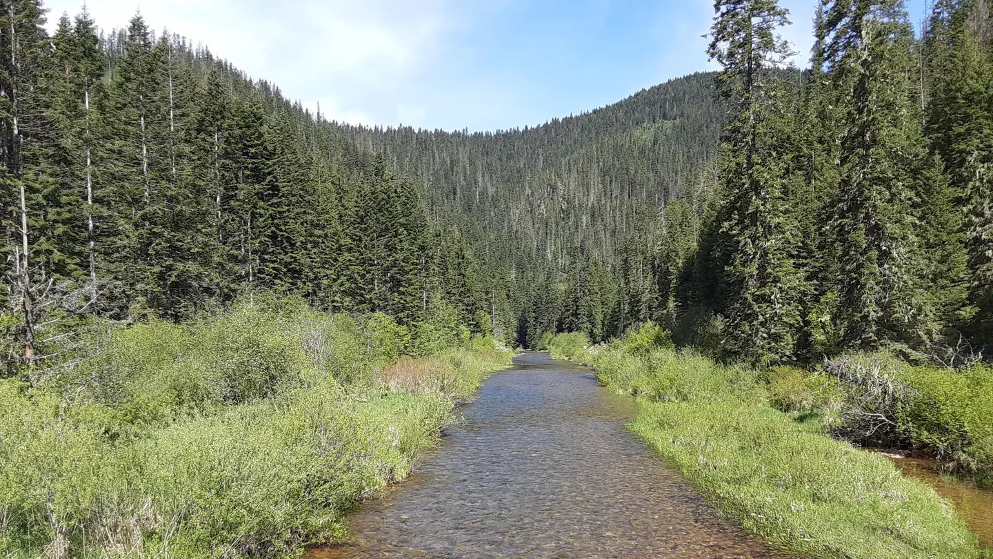 Honeysuckle Campground