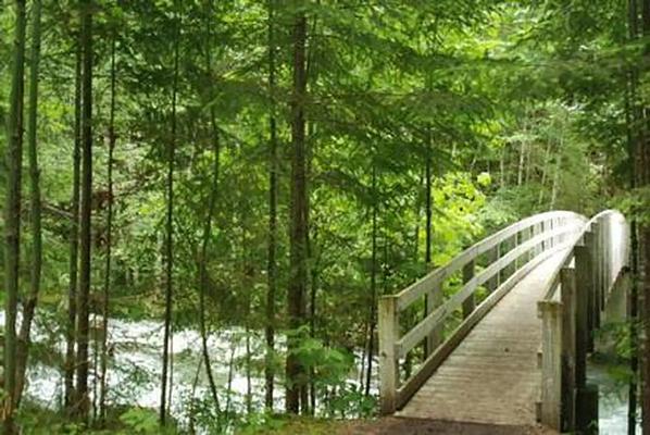 A001, Loop: AREA NORTH FORK BEAVER GROUP