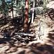 A view of a campsite with pines and restroom in the background.