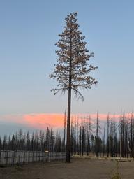 Campspot slideshow image 2